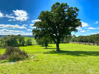 Rural landscape, close to the road, leading to Harrogate, Yorkshire, UK