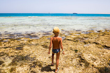 Mari boy exploring tidal pool on beach