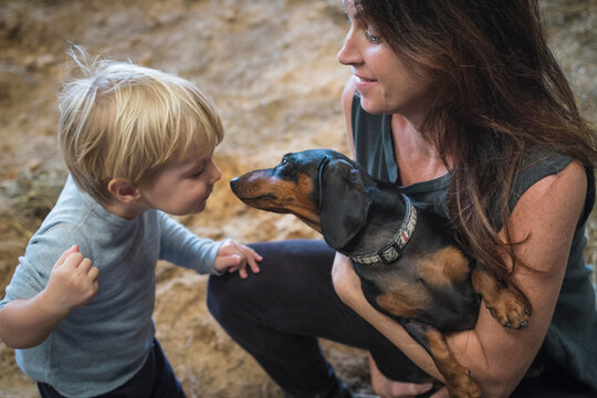 Caucasian mother, son and pet dog playing in barn