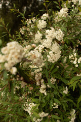 forest, nature, tree, woman, walking, autumn, woods, walk, park, hiking, path, outdoors, people, trees, hike, young, trail, road, summer, green, landscape, fall, wood, bike, person, mtb, mountainbike,