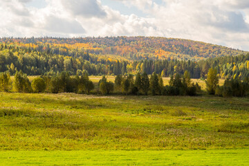 Field in rural landscape