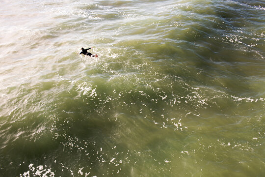 High angle view of surfer in ocean waves