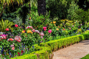 Obraz premium Beautiful garden in Granada Alhambra. Granada, Andalusia, Spain.