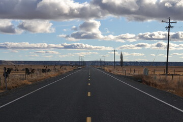 Fototapeta premium Eastern Oregon endless road and clouds