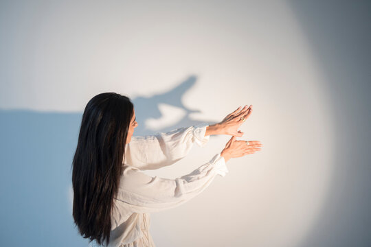 Hands of Indian woman casting shadow puppet on wall