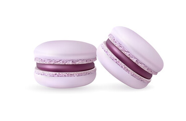Macaroons, cookies, vector icon