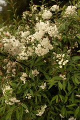 forest, nature, tree, woman, walking, autumn, woods, walk, park, hiking, path, outdoors, people, trees, hike, young, trail, road, summer, green, landscape, fall, wood, bike, person, mtb, mountainbike,