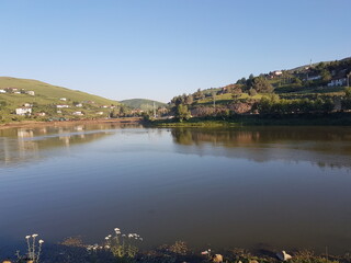 Fototapeta premium phgursoy stock phott