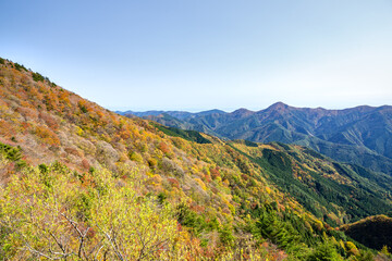 天狗高原からの眺め