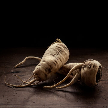 Studio shot of parsnips