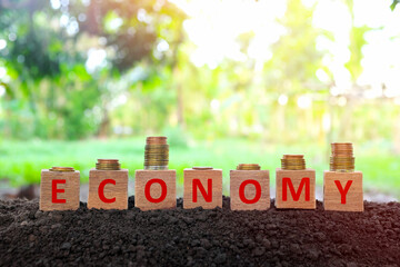 Economic recovery, economy bounce back, regain, rebound, pick up and business comeback concept. Wooden blocks with w shape and v shape increasing stack of coins on natural background at sunrise.