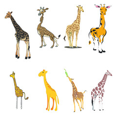 Vector illustrations set of giraffes