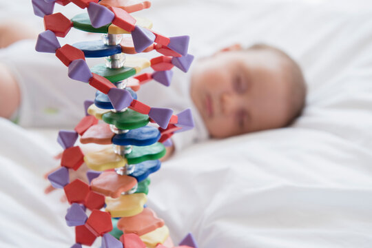 Baby girl (2-5 months) sleeping in bed behind DNA model