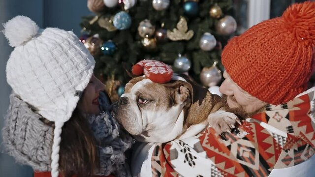 Couple And Their Dog in santa cap spend time together kissing and hugging at xmas eve. Winter holidays concept. Pet lovers with their doggy. Young people love each other.