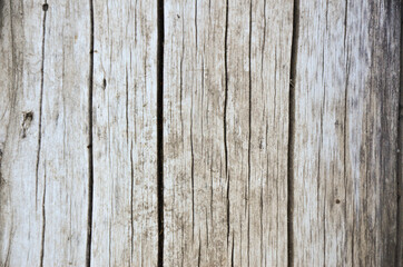 gray, dry, cracked natural wood texture and background