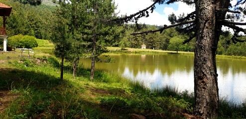 Lake Landscape, Lake Stock Photos, View Lake