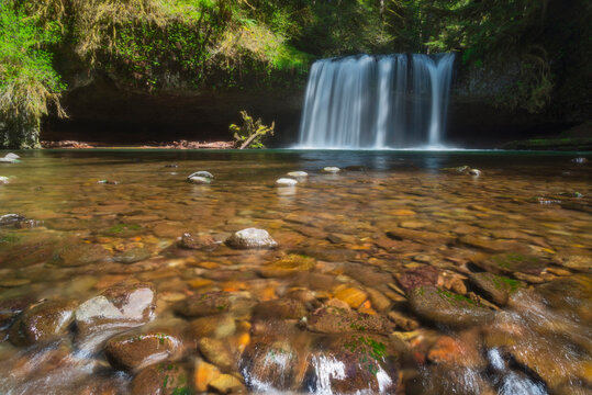 View of Butte Creek Falls