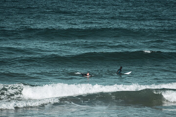 surfers in the sea catching waves