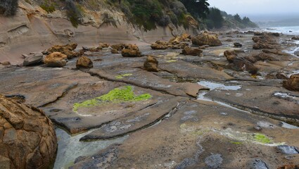 Rock formations on Shag Point beach