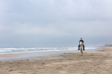 woman on a horse on the beach