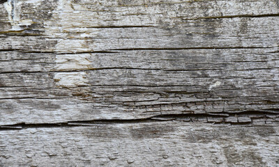 veta de madera horizontal, con textura de fondo natural gris