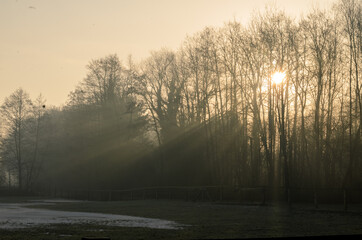 Sun rays falling on last snow on a meadow