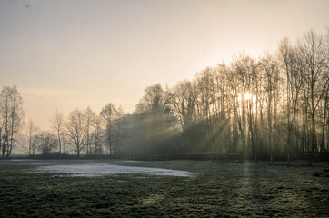 Sun rays falling on last snow on a meadow