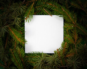 Creative layout  made of fir tree branches with white square shape paper, Christmas and New Year's card concept, flat lay, top view