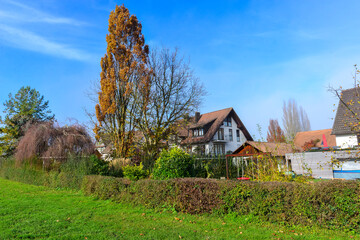 Obraz premium Herbststimmung Insel Reichenau