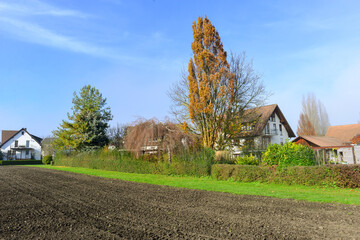 Obraz premium Herbststimmung Insel Reichenau