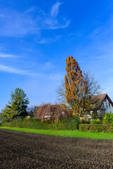 Herbststimmung Insel Reichenau