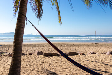 beautiful relaxing beach with palm trees and hammock without people