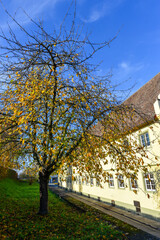 Kloster Reichenau