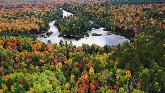 Aerial fly over of the lower waterfalls, river, and islands surrounded by a forest of evergreens and autumn colored deciduous trees at Tahquamenon Falls in the upper peninsula of Michigan.
