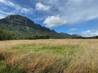 a grassy field with mountains in the background