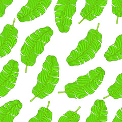 Banana leaf seamless pattern design. Banana leaf background. Banana leaf vector illustration.