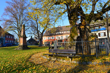 Heimatmuseum Insel Reichenau