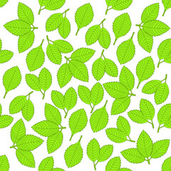 Strawberry leaf pattern design. Strawberry leaf background. Strawberry leaf vector illustration