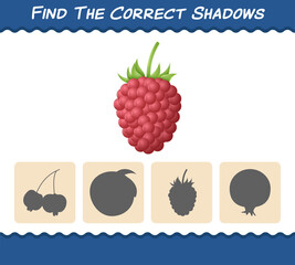 Find the correct shadows of cartoon raspberries. Searching and Matching game. Educational game for pre shool years kids and toddlers