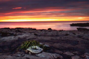 sunrise on rocky coast