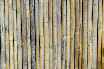 dry bamboo hand made texture background wall