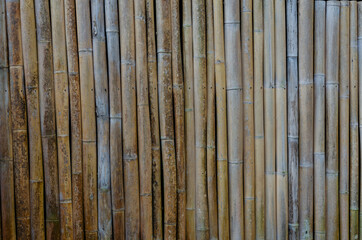 old bamboo pattern texture background wall