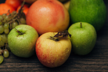 Composition with Summer Colorful Fresh Fruits on Wooden Brown Background