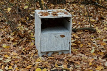 one gray old wooden bedside table stands outdoors in an autumn park with brown dry fallen leaves