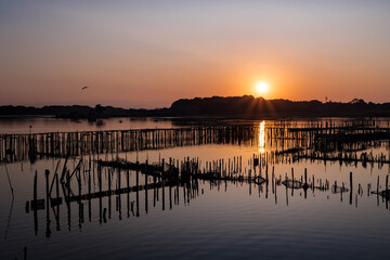 Obraz premium 朽ちた桟橋と夕暮れ