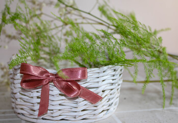Small purple ribbon a small white wooden basket on white background with delicate plant branches