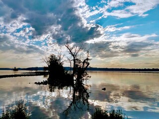 Sunrise on the river