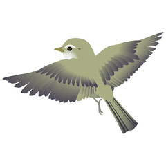 かわいい野鳥ウグイスが羽ばたくベクターイラスト