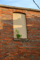 window on a brick wall