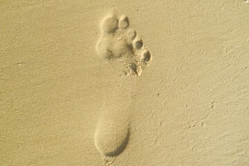 footprint in sand
